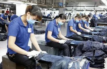 增城九村荣登中国淘宝村榜单，电商经济助力乡村振兴