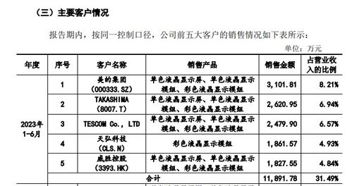 又一家显示企业终止IPO 数据处理能力成资本市场新考题
