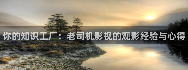 蜜桃传媒电影免费观看：你的知识工厂：老司机影视的观影经验与心得
