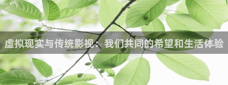蜜桃姐姐小视频：虚拟现实与传统影视：我们共同的希望和生活体验