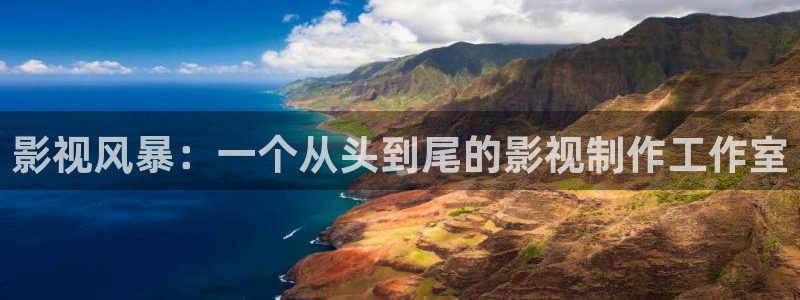 小小小蜜桃主演是谁：影视风暴：一个从头到尾的影视制作工作室