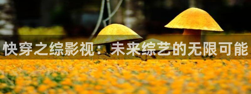 蜜桃什么电影：快穿之综影视：未来综艺的无限可能